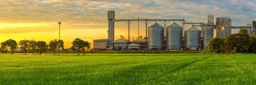 bandeau_commision_biomolecules_pole_IAR_2019