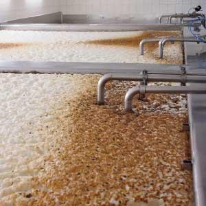 Brewery industrial process